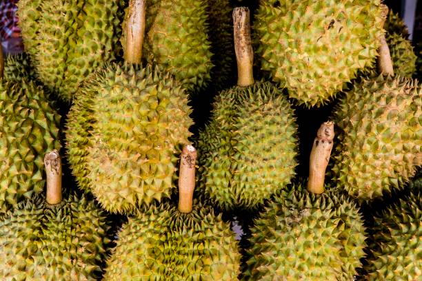 Durian